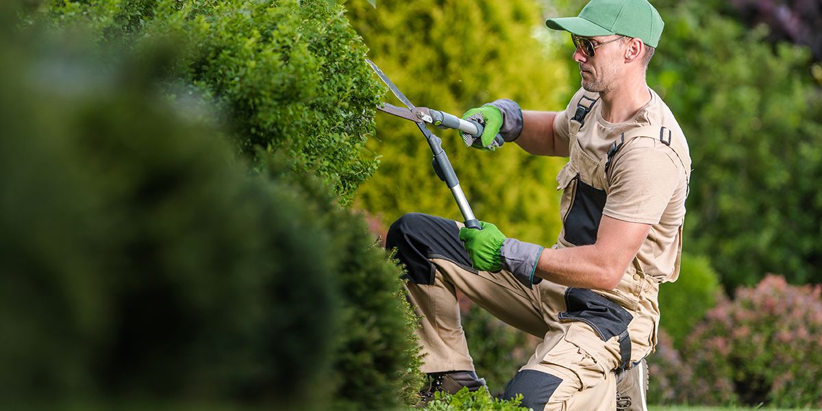les 5 travaux de jardinage qui font du bien à votre portefeuille