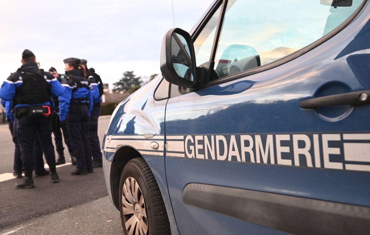 Des milliers de fêtards s’emparent des Landes pour une rave party sauvage