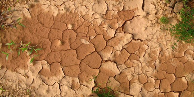 Les différents types de sols du jardin