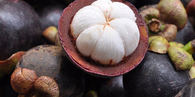 À la découverte du mangoustan, ce superfruit aux multiples bienfaits