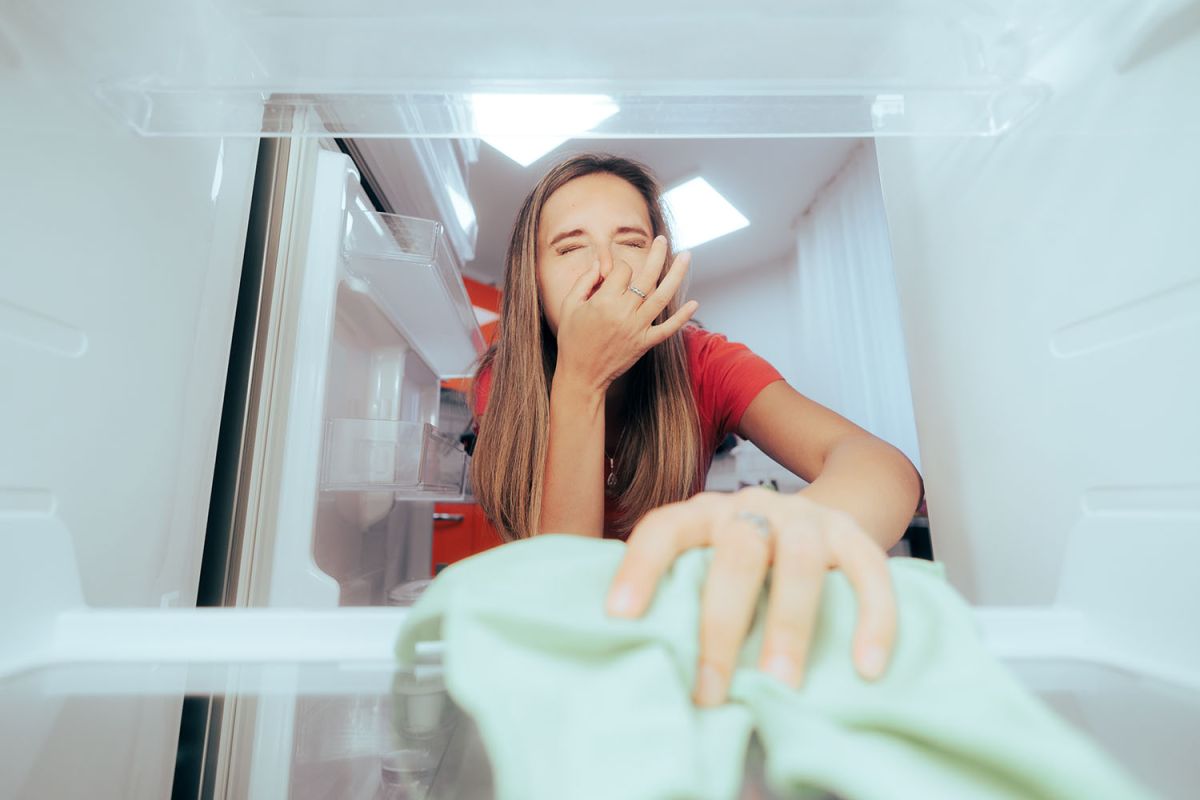 Des solutions naturelles pour un frigo frais et sans odeurs