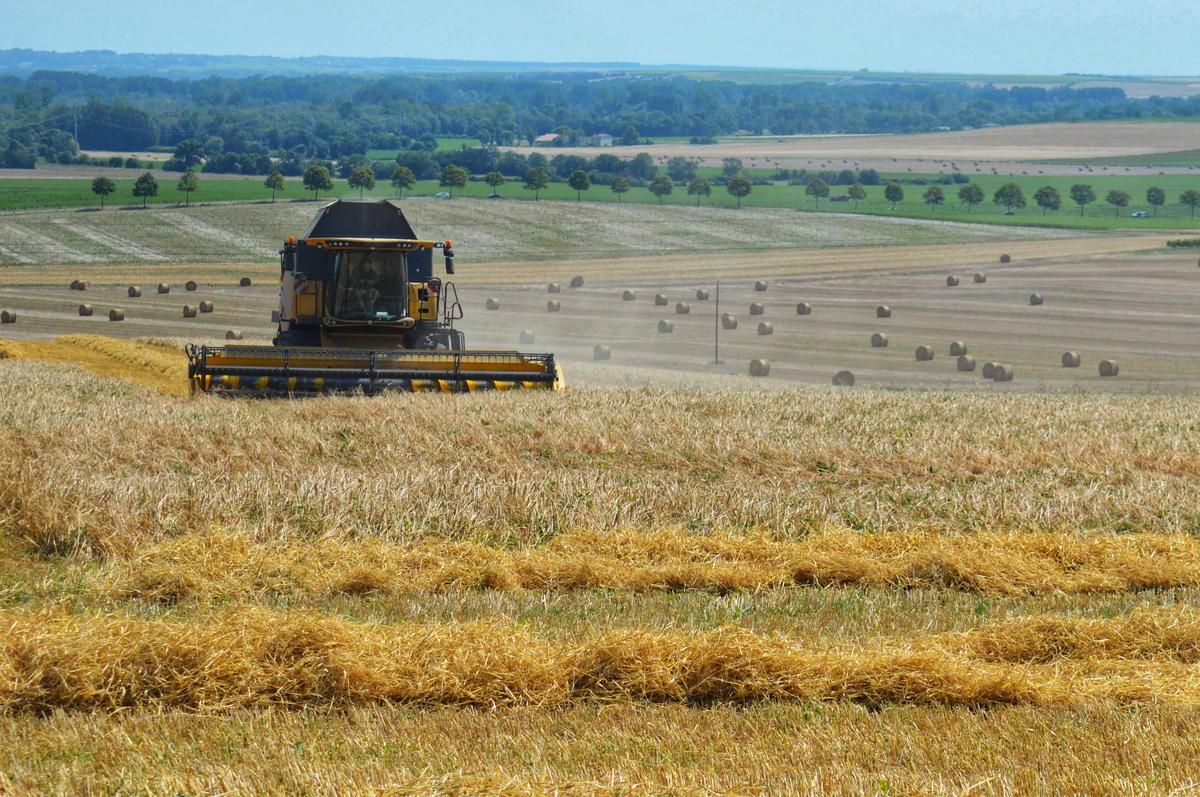 Pesticides : le gouvernement dévoile une liste controversée au Journal officiel