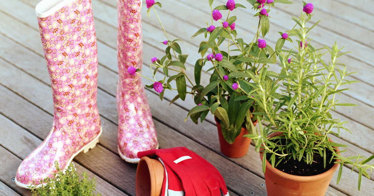 Un jardin secret à chaque pas : la magie des chaussures fleuries