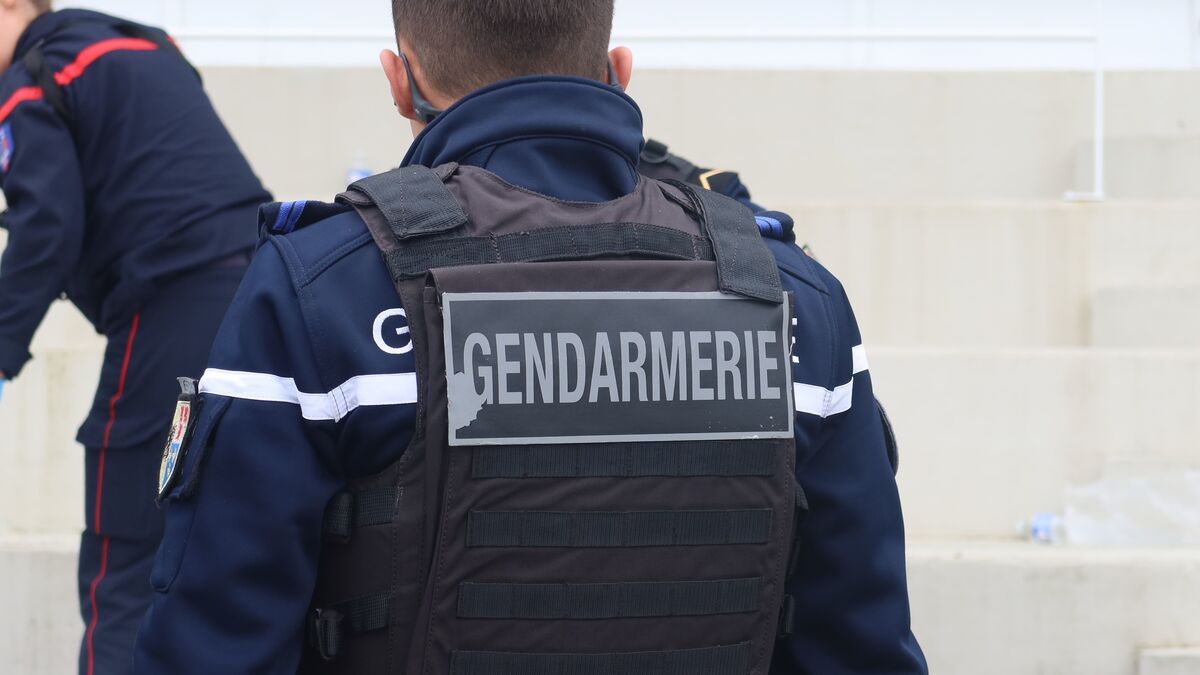 Un drame en Corse : un homme abattu devant la mairie, un couple sous les verrous