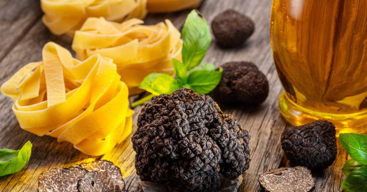 La truffe noire : l'ultime trésor de la gastronomie