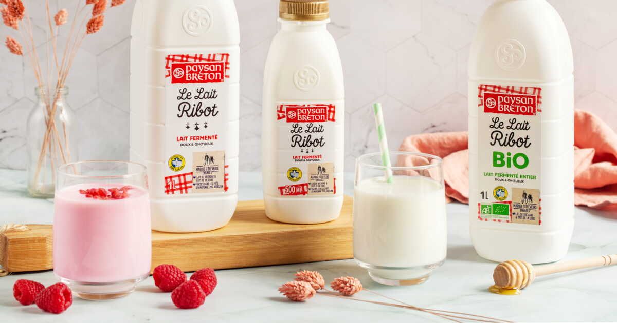 découvrez les recettes irrésistibles au lait ribot