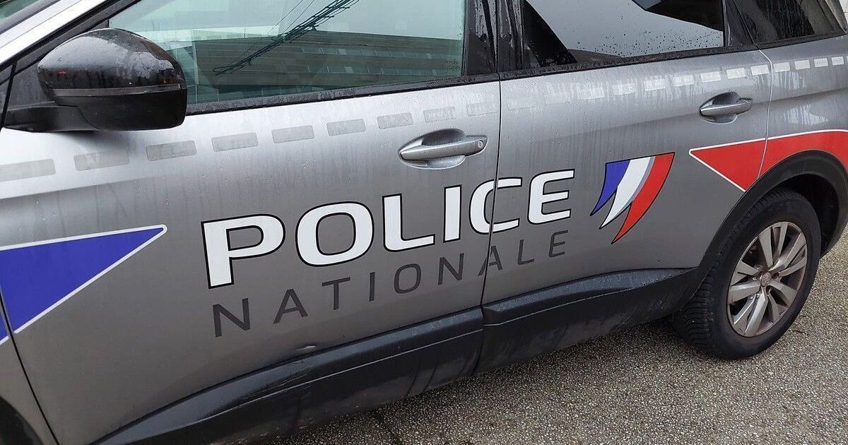 Interpellation à Grenoble : des survivalistes tentent de créer des armes en 3D