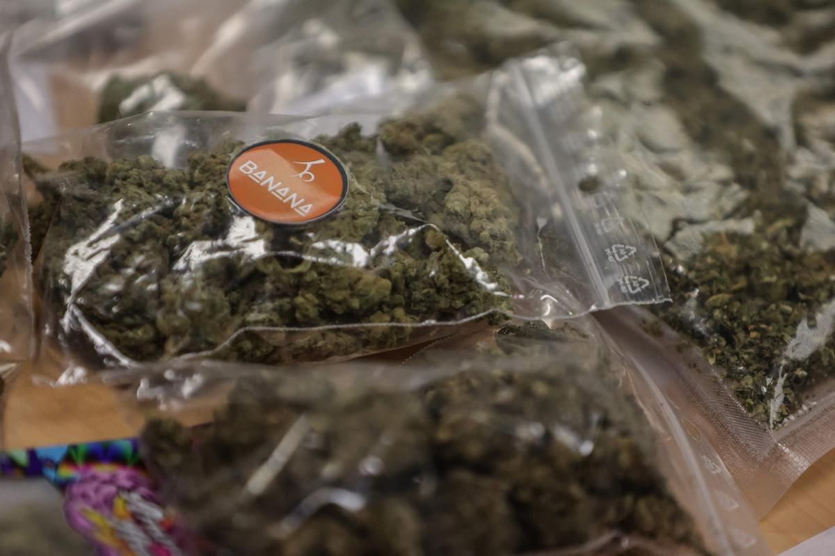 Deux jeunes Allemands condamnés pour avoir introduit 94 kg de cannabis au Pays basque