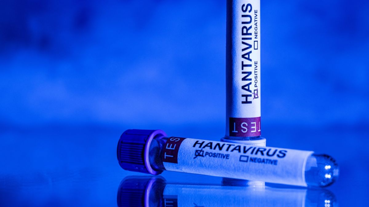 Une passagère française gravement touchée par l'hantavirus