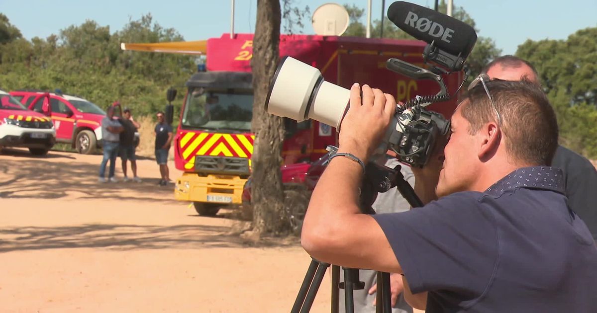 Des chercheurs en Corse luttent contre les incendies extrêmes
