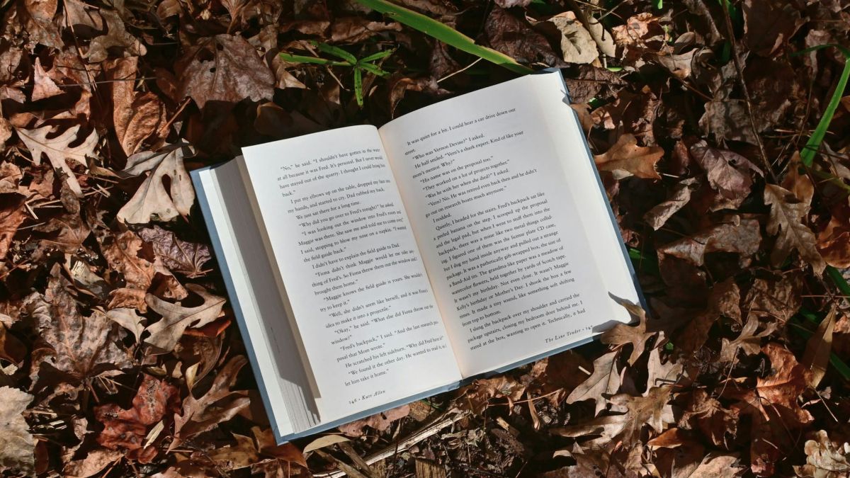 Des histoires sombres à découvrir : les thrillers à dévorer après La Femme de Ménage