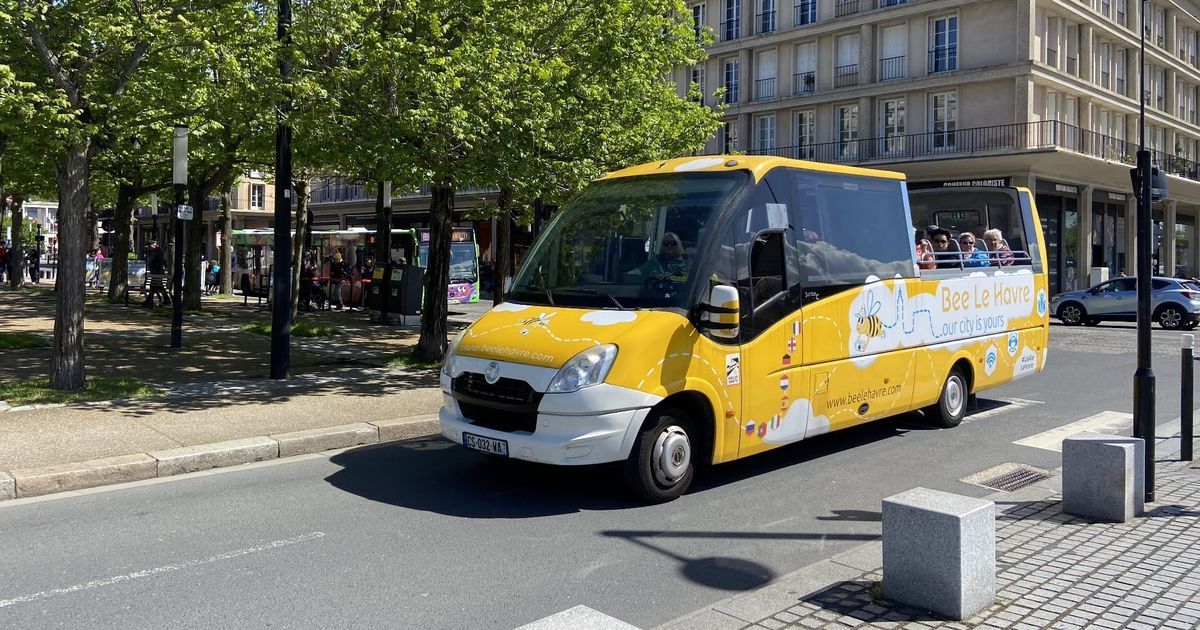 Bee Le Havre en liquidation : l'avenir incertain d'un emblème du tourisme