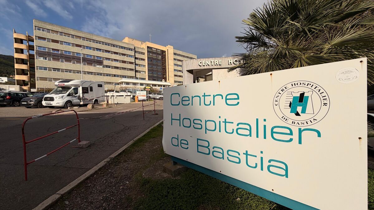 L'invasion de moustiques à l'hôpital de Bastia pousse les patients à fuir