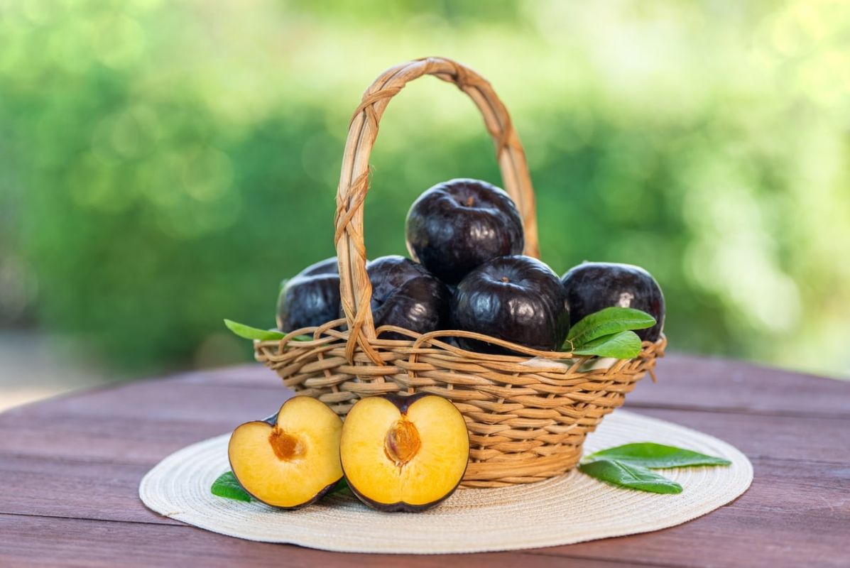 Un fruit miracle pour votre cerveau, selon les dernières recherches