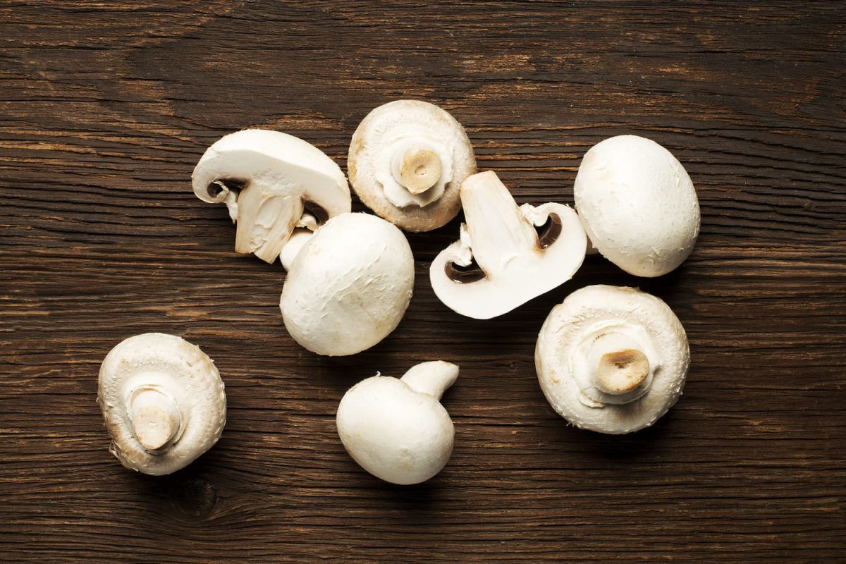 Comment conserver les champignons ?