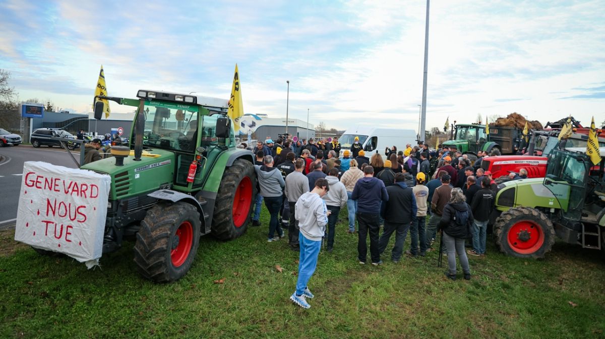 Agriculteurs en colère : le projet de loi d'urgence soulève des controverses en Vienne