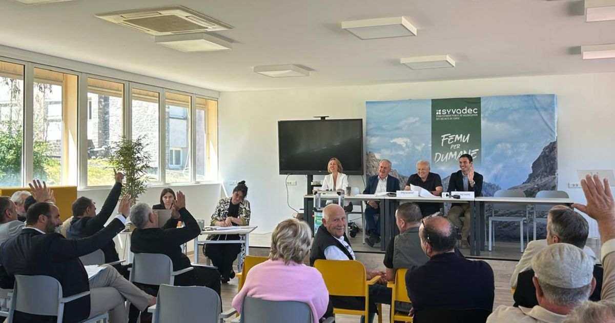 Réélection sans surprise au Syvadec : Don Georges Gianni à la tête du syndicat