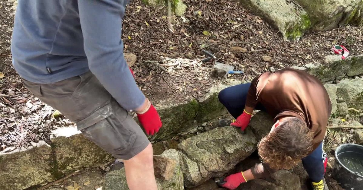 La renaissance du canal de l'Ajara : un trésor corse restauré par le Loto du patrimoine
