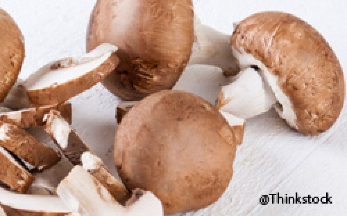 Comment cultiver des champignons domestiques ?