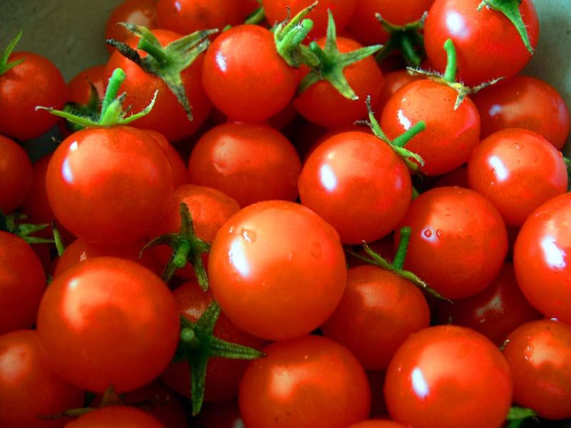 La tomate, un atout minceur à savourer