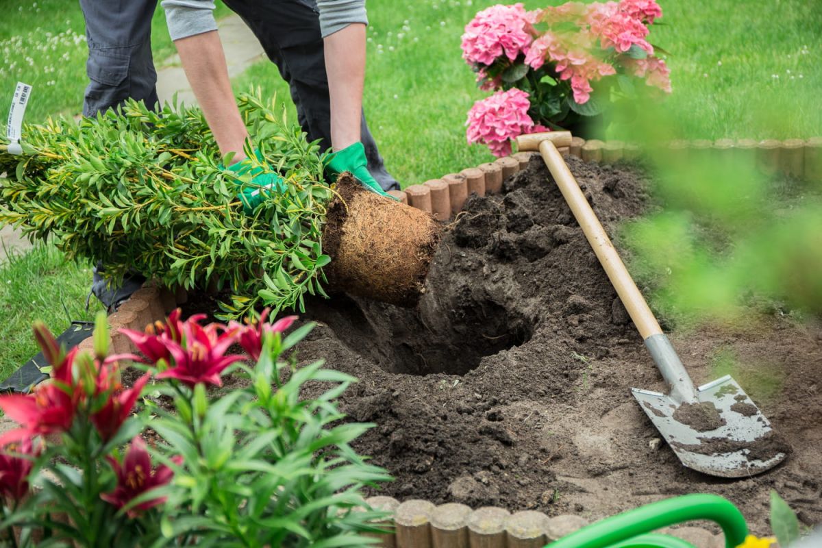 Transformez votre jardin printanier avec ces conseils d'experts