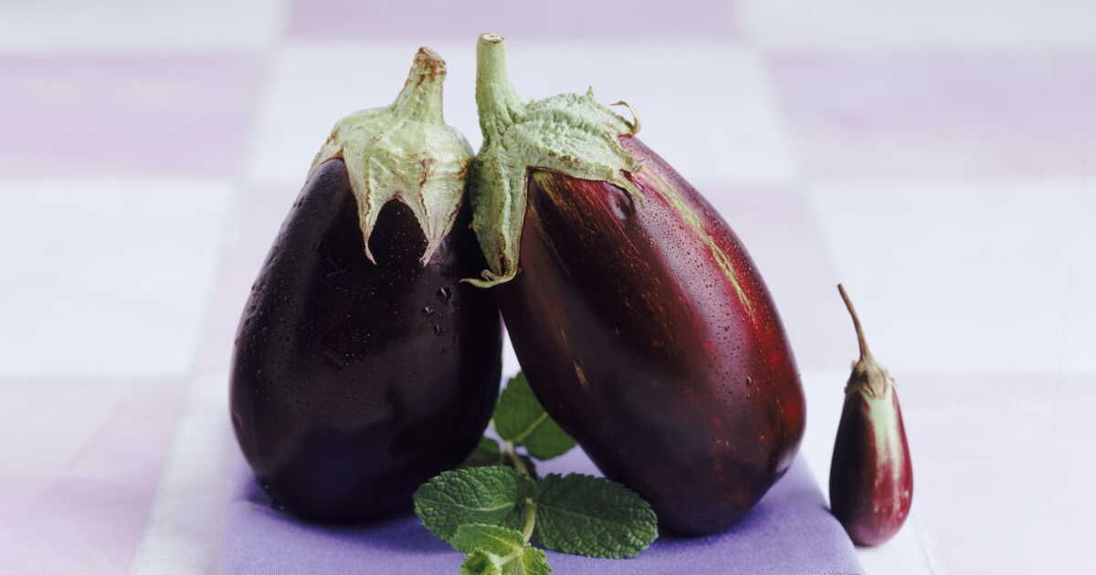 Cuisiner l'été : 4 recettes délicieuses à base d'aubergines