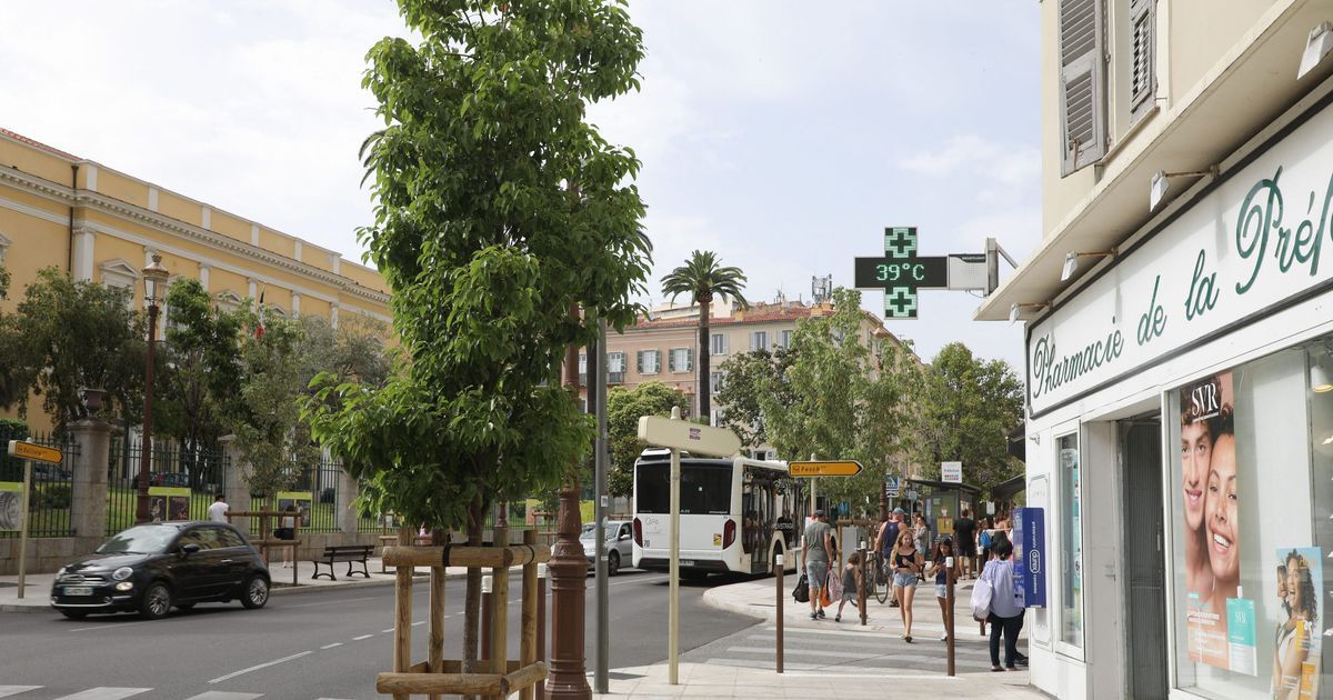 L'été 2025 en Corse : la chaleur fait 37 victimes
