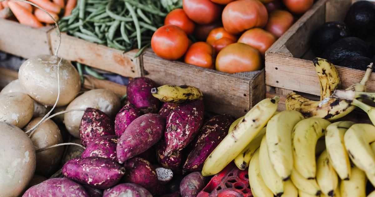Comprendre le mûrissement des fruits et légumes après récolte