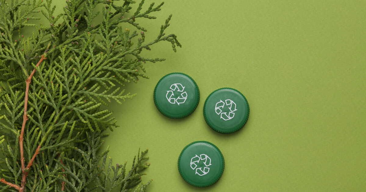 La seconde vie des sapins de Noël : recycler pour un avenir vert