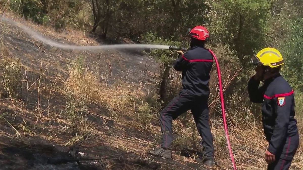 Les sapeurs-pompiers en alerte face aux incendies précoces en France