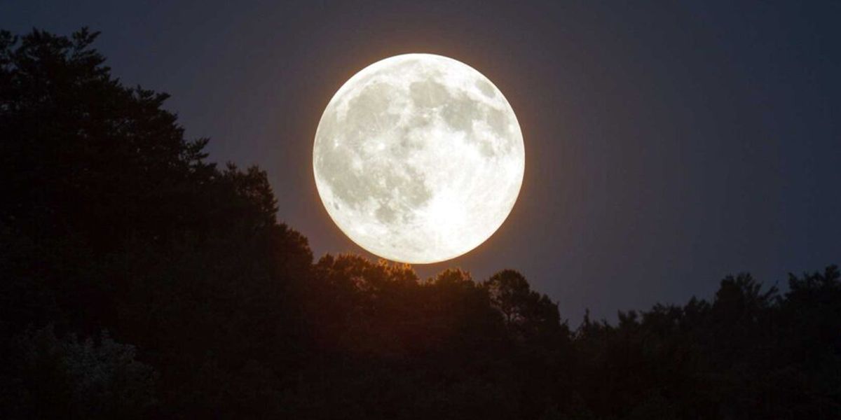 Calendrier lunaire du jardin - Mai 2025