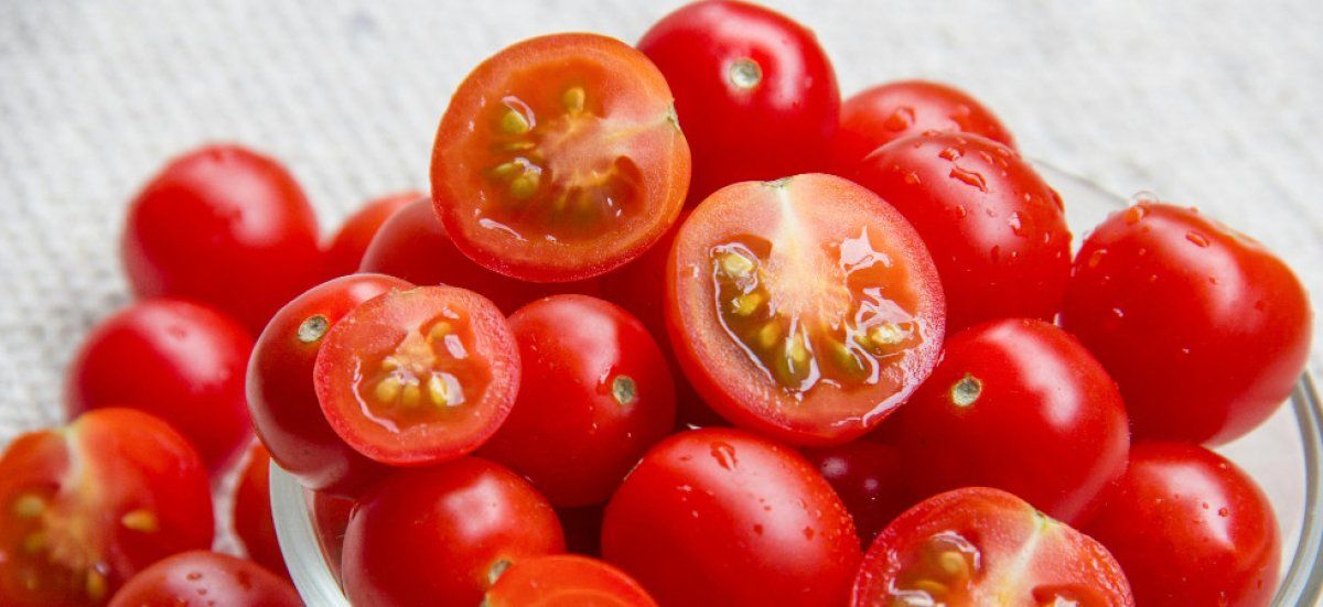 La colère des producteurs français face à la tomate cerise marocaine