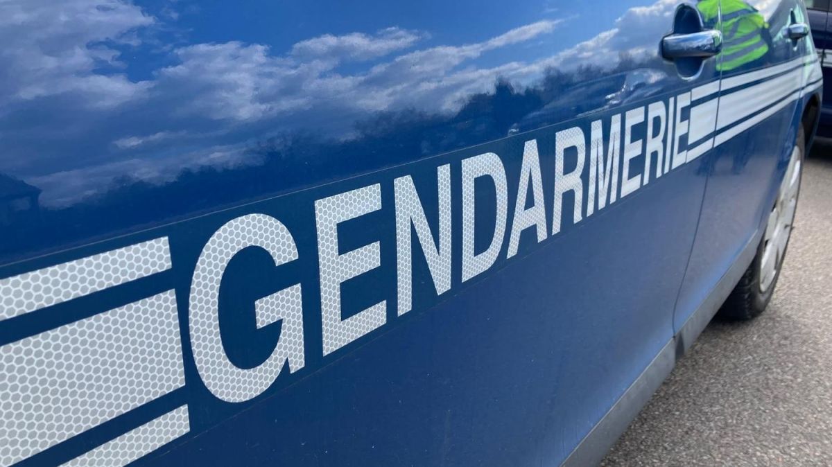 Disparition inquiétante d'une petite fille de 3 ans dans le Gard : une mobilisation exceptionnelle des gendarmes
