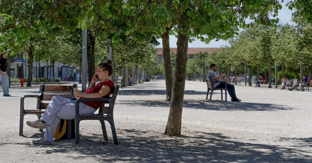 Printemps 2026 : un record de chaleur pour la France