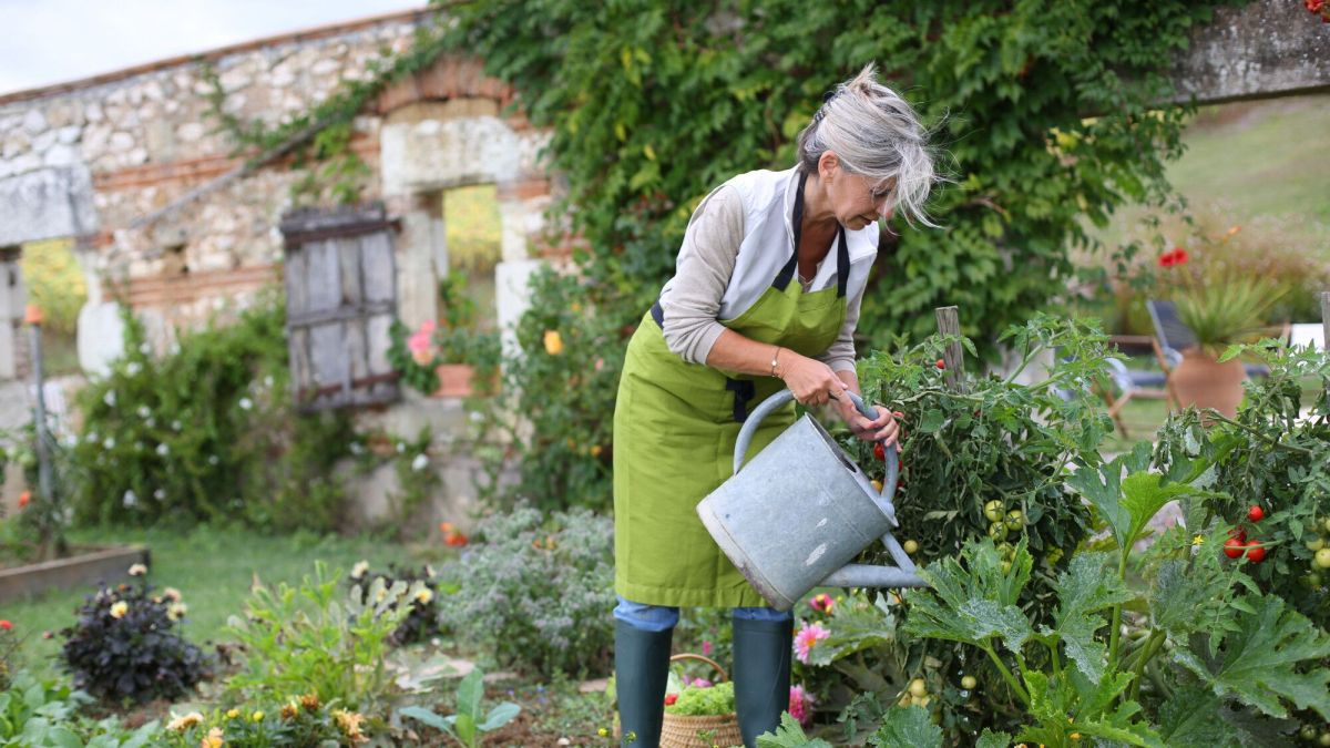 les secrets d'un potager florissant : astuces essentielles à connaître