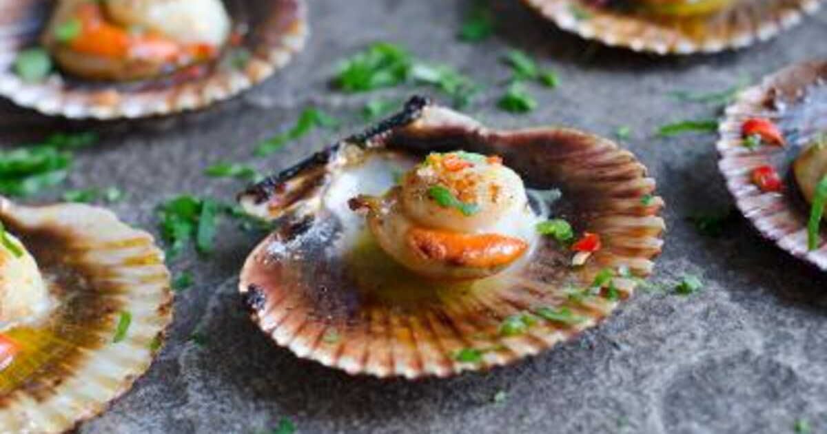 découvrez le meilleur moment pour déguster des coquilles saint-jacques