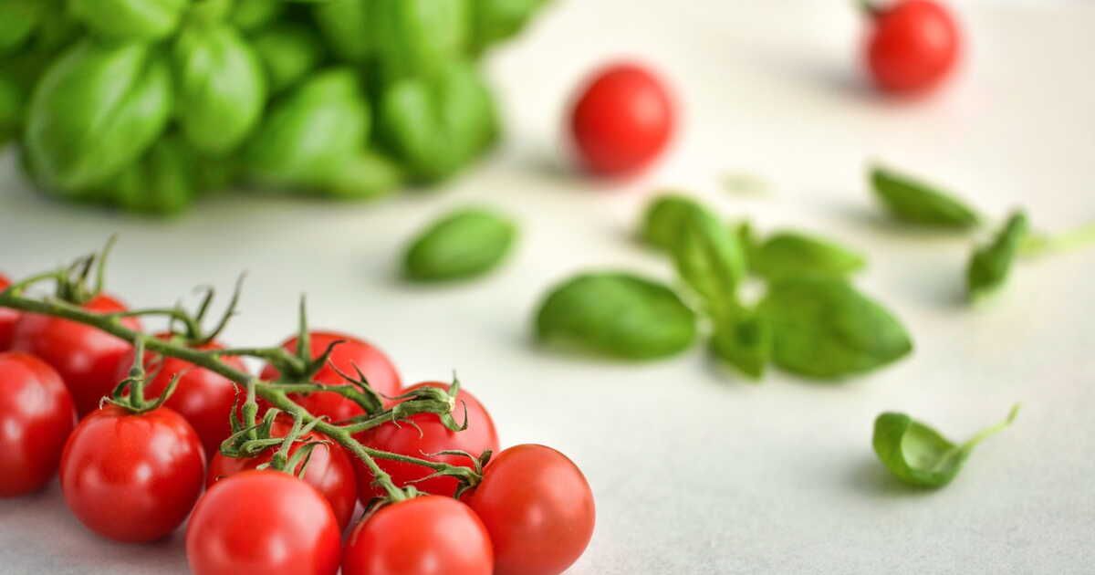 Savourez l'été : 5 idées recettes à base de tomates