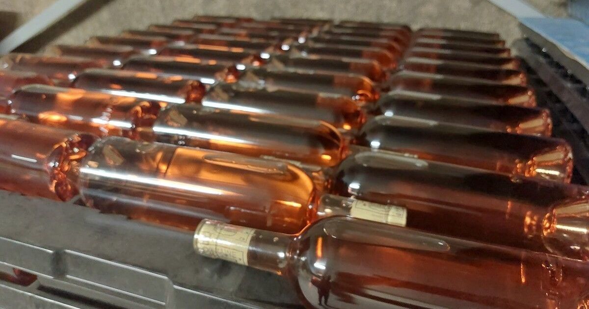 La Corse explore le vin sous-marin : un projet innovant en marche