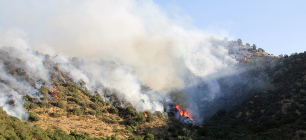 Alerte incendie : le Sud de la France sous pression ce mercredi