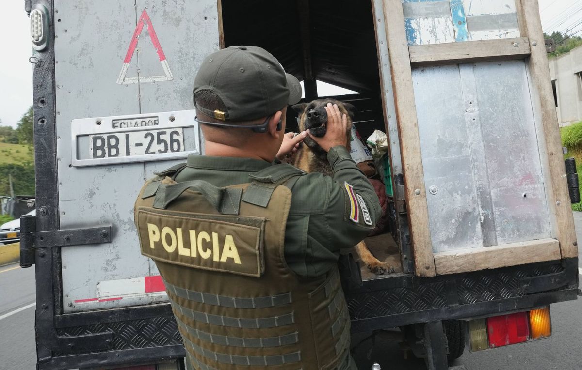 Colombie : une arrestation clé après l'assassinat d'un journaliste courageux