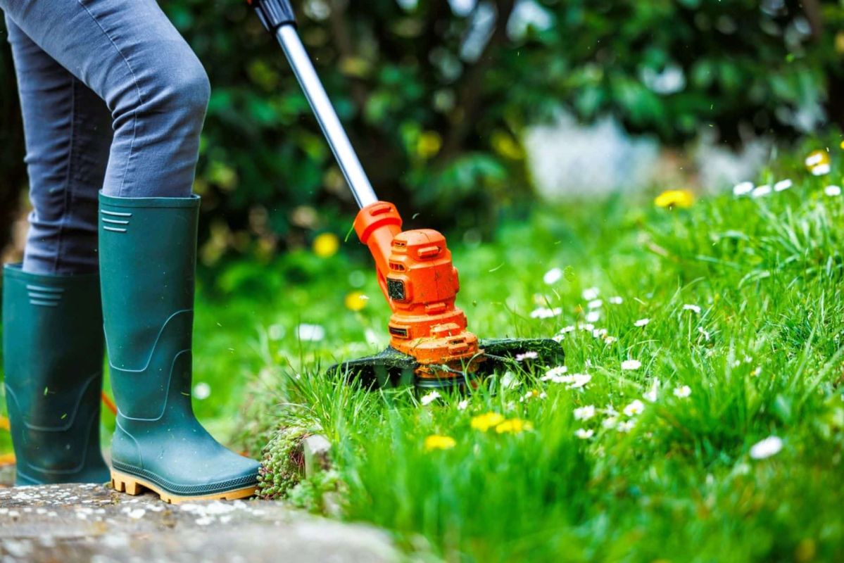 Tondre sa pelouse après l’hiver : l'art du timing pour un gazon parfait