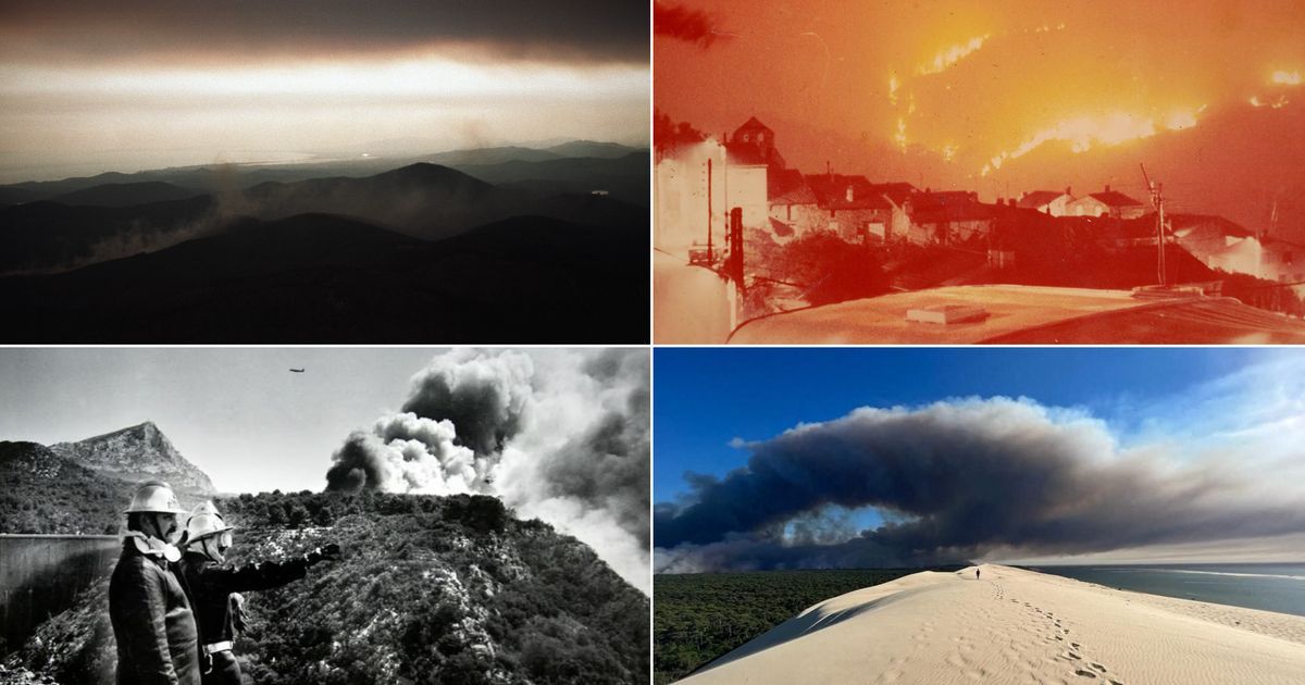 Incendies en France : récit des plus grandes catastrophes des 50 dernières années