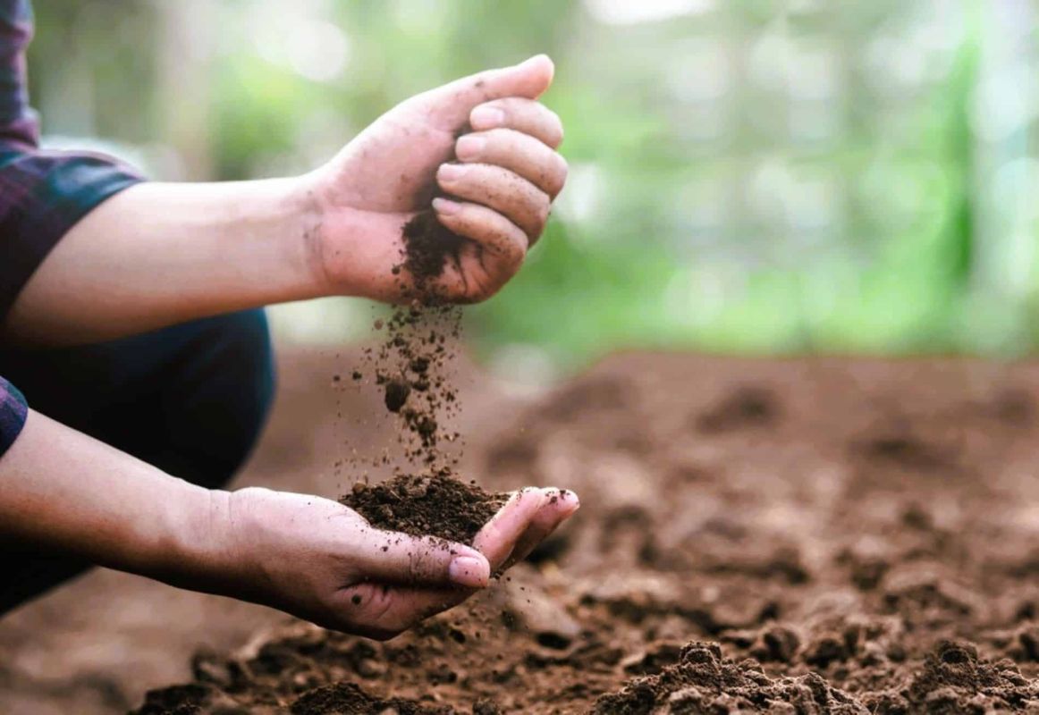 Transformez votre sol argileux en terre fertile avec ces astuces simples