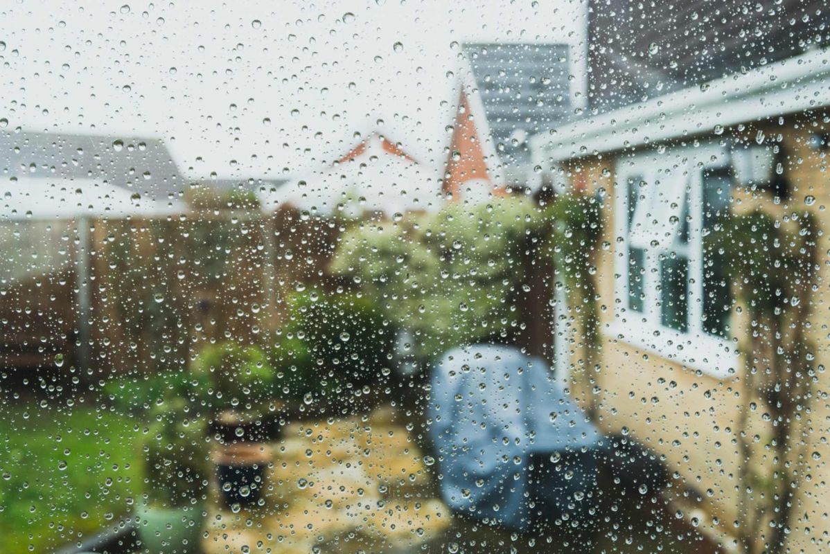 Comment transformer votre jardin en rempart contre les tempêtes