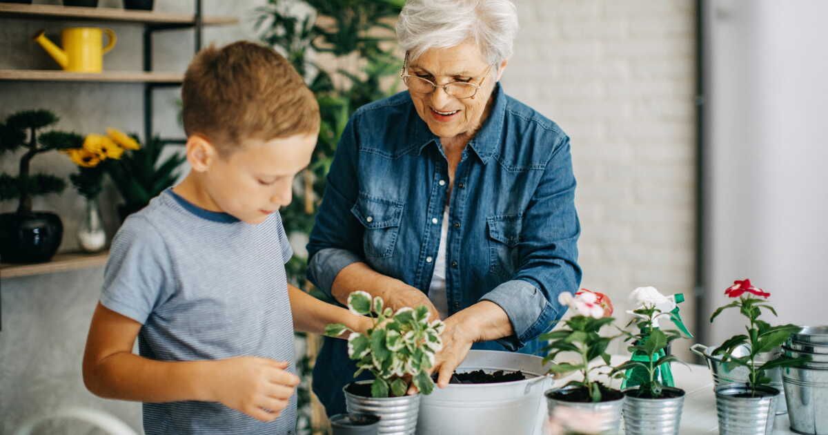Comment distinguer une plante morte d'une plante en dormance ?