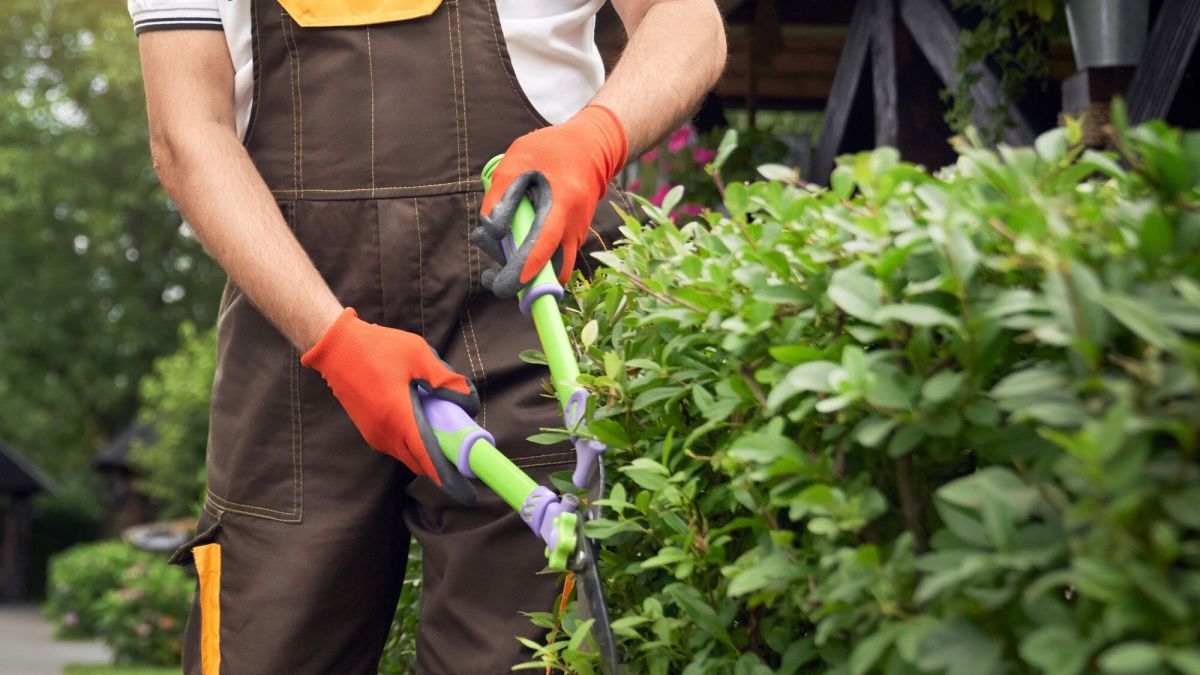 Comment profiter d'un crédit d'impôt pour vos travaux de jardinage ?