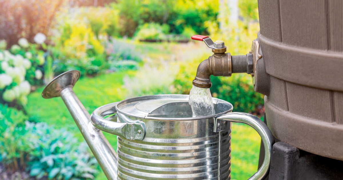 Récupérateurs d'eau de pluie : avantages et conseils pour choisir le bon modèle