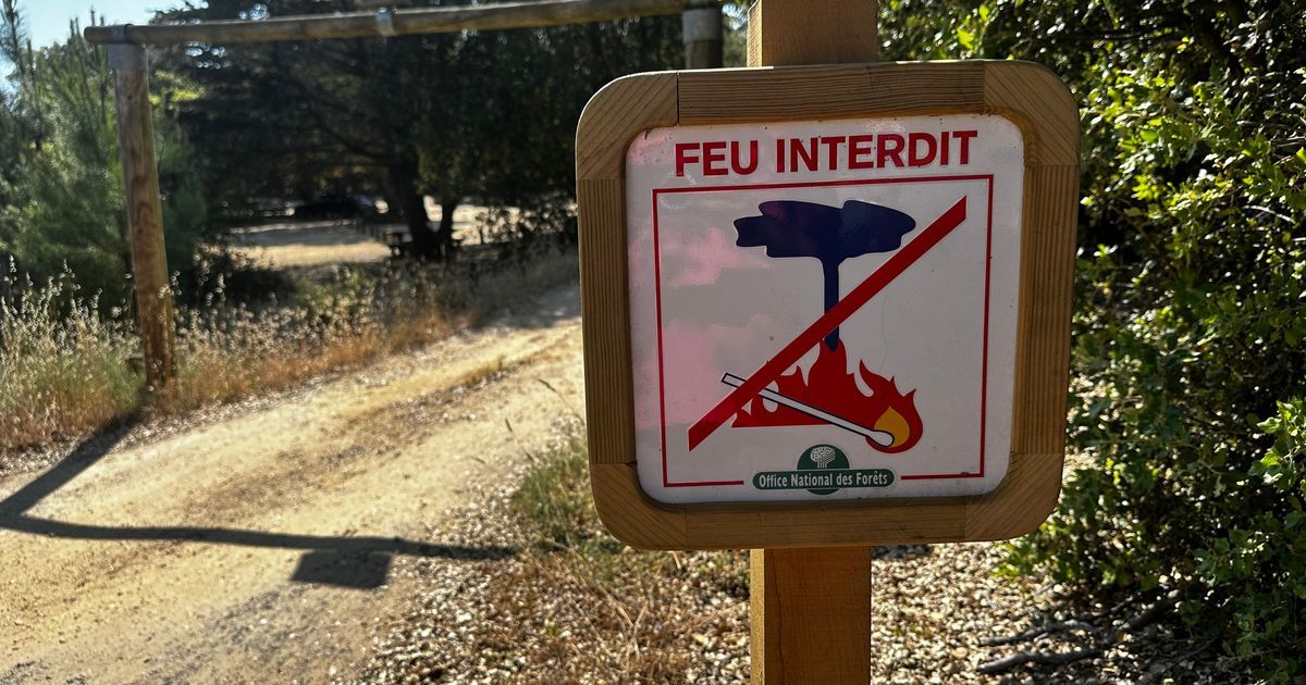 La Corse face au fléau des incendies : un appel à la vigilance