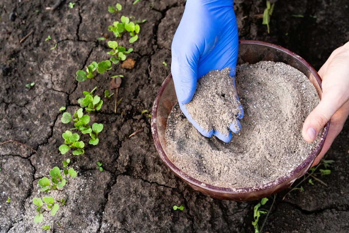 3 engrais naturels à essayer en avril pour des légumes épanouis