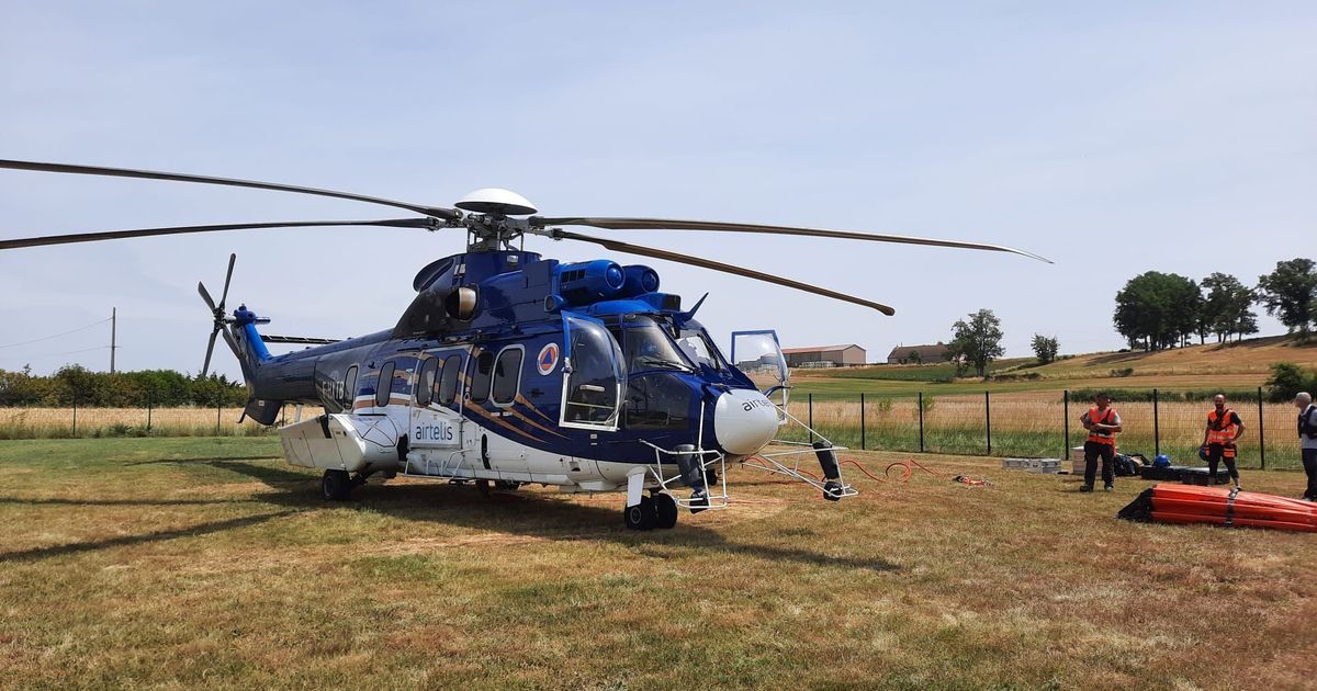 Des feux de végétation ravagent dix hectares dans l'Allier en une journée